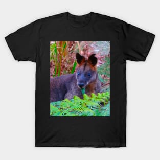 The Swamp Wallaby ! T-Shirt